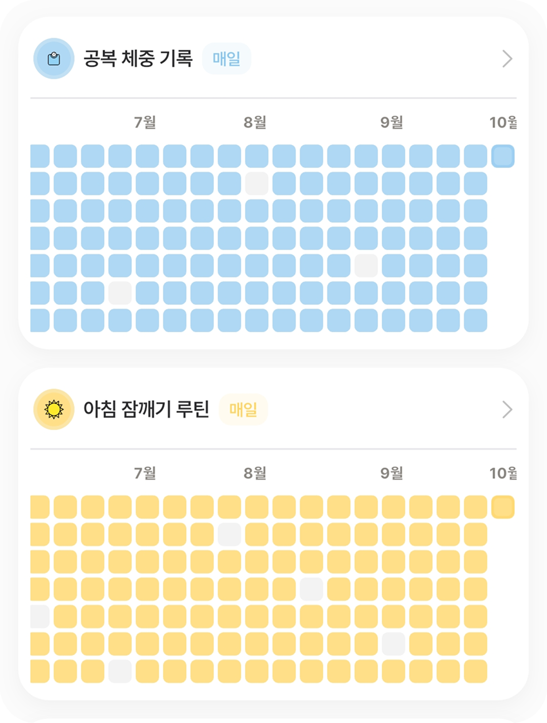루틴톡 1년간의 연간 루틴 리포트 및 실천 통계 화면